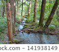 Small river in the forest 141938149