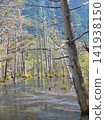 Autumn leaves of a blue pond 141938150