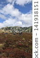 Tateyama and mountain plants 141938151