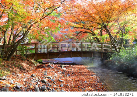 Around Kinrinko Lake in autumn (Yufuin-cho, Yufu City) 141938271