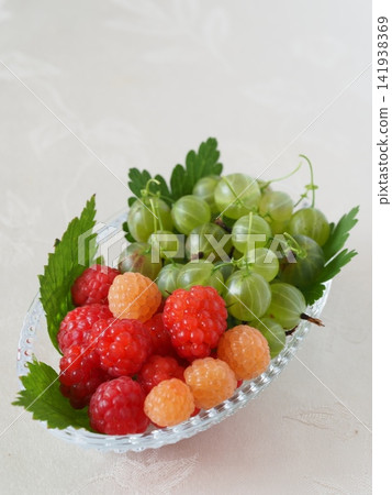 Freshly picked raspberries and gooseberries Freshly picked raspberries and gooseberries 141938369