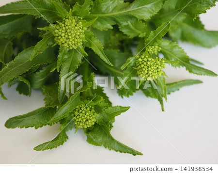 Freshly picked mountain wasabi buds Freshly picked mountain wasabi buds 141938534