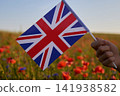 Hand holding united kingdom flag in poppy field 141938582