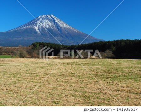 初冬從朝霧高原看到的富士山 初冬從朝霧高原看到的富士山 141938617