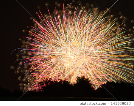 The big bloom in the night sky The big bloom in the night sky 141939023