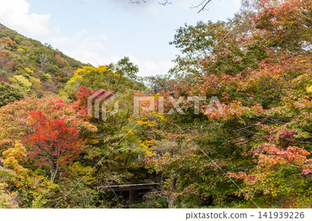 秋日山景,樹葉由綠色轉紅轉黃。 秋日山景,樹葉由綠色轉紅轉黃。 141939226