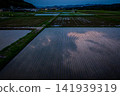 稻田 141939319