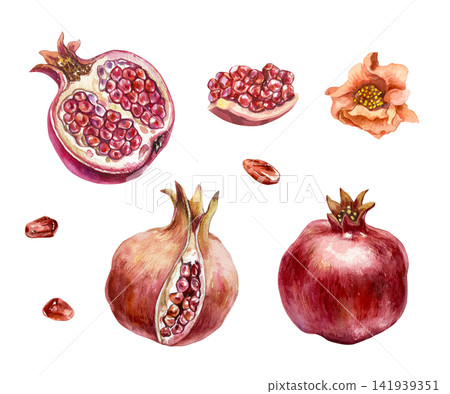 Pomegranate set. Ripe red fruits, whole and cut, pink flower and seeds. Hand drawn watercolor illustration in a botanical style, isolated. Suitable for greeting cards, juice labels and cosmetics. Pomegranate set. Ripe red fruits, whole and cut, pink flower and seeds. Hand drawn watercolor illustration in a botanical style, isolated. Suitable for greeting cards, juice labels and cosmetics. 141939351