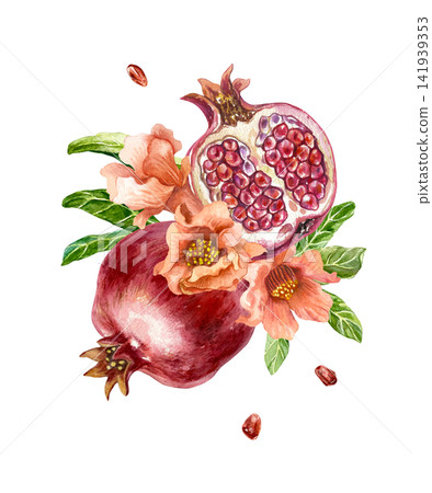 Ripe red pomegranates. Whole fruit and half with seeds, decorated with flowers and green leaves. Hand drawn watercolor illustration in a botanical style for greeting cards, juice labels and cosmetics. Ripe red pomegranates. Whole fruit and half with seeds, decorated with flowers and green leaves. Hand drawn watercolor illustration in a botanical style for greeting cards, juice labels and cosmetics. 141939353