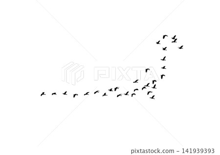 Group Of Flying Geese Silhouette Cutout Png Transparent Background Nature Wildlife Overlay Group Of Flying Geese Silhouette Cutout Png Transparent Background Nature Wildlife Overlay 141939393