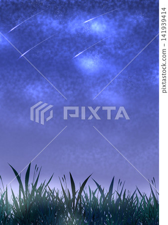 夜晚的草地和星軌 夜晚的草地和星軌 141939414
