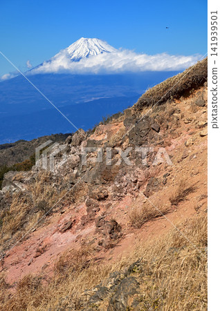 從伊豆半島伊豆山脊步道上的小達魯馬山眺望冬季的富士山。 從伊豆半島伊豆山脊步道上的小達魯馬山眺望冬季的富士山。 141939501
