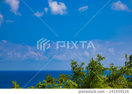 從阿山丸岬的觀景台上眺望-奄美大島(鹿兒島縣奄美大島)是世界遺產地,是個熱帶度假勝地。 從阿山丸岬的觀景台上眺望-奄美大島(鹿兒島縣奄美大島)是世界遺產地,是個熱帶度假勝地。 141939526