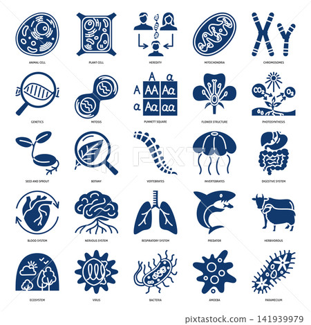 Biology glyph icon set Biology glyph icon set 141939979