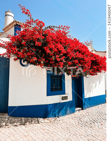 Abundant red bougainvillea spreads across a white house with vivid blue trim, a barred window and doorway beside a sunlit cobblestone street Abundant red bougainvillea spreads across a white house with vivid blue trim, a barred window and doorway beside a sunlit cobblestone street 141940047