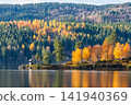 Autumn scenery at Lake Schluchsee, Black Forest, Germany 141940369