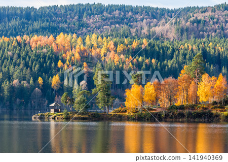 Autumn scenery at Lake Schluchsee, Black Forest, Germany Autumn scenery at Lake Schluchsee, Black Forest, Germany 141940369