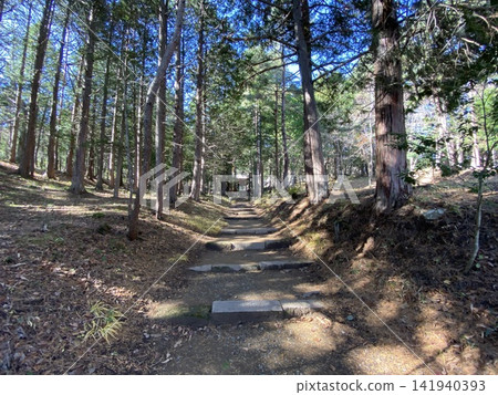 通往清水寺的神秘石階沐浴在斑駁的陽光下(長野縣山形村) 通往清水寺的神秘石階沐浴在斑駁的陽光下(長野縣山形村) 141940393