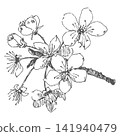 Plum blossom outline sketch. Vector spring illustration of cherry blossoms. Hanami festival. Retro style clipart for cosmetics and perfumes. Imitation of vintage engraving techniques. 141940479