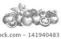 A composition of a pomidoro whole, halfs, slices lying on a table. Ink vector drawing imitating an engraving. Farm tomatoes in retro style. Botanical illustrationfor packaging juice and ketchup. 141940483