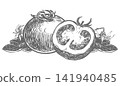 A composition of a whole pomidoro a half and leaves lying on a table. A detailed ink vector drawing imitating an engraving. Farm tomatoes in a retro style. A botanical illustration of a ripe vegetable 141940485