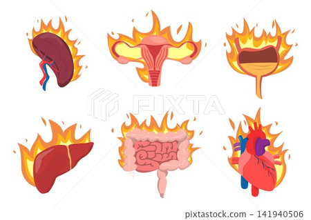 Set of internal organs on fire vector isolated Set of internal organs on fire vector isolated 141940506