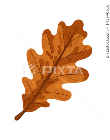 Brown oak leaf in rich autumn tones, isolated on a white background. Flat vector illustration ideal for seasonal, botanical, harvest, and nature-themed designs. Brown oak leaf in rich autumn tones, isolated on a white background. Flat vector illustration ideal for seasonal, botanical, harvest, and nature-themed designs. 141940916