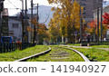 The Enoden train runs through the autumn foliage. 141940927