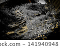 Wooden stakes illuminated by the morning sun 141940948