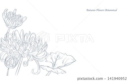 An autumn plant background featuring chrysanthemum flowers and autumn leaves. Suitable for template layout design, brochures, etc. 141940952