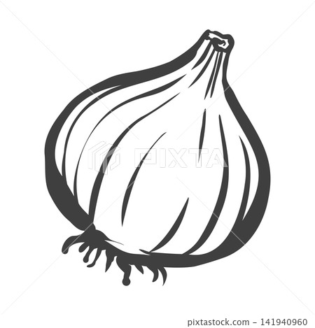 Hand-drawn brushstroke style illustration of an onion Hand-drawn brushstroke style illustration of an onion 141940960