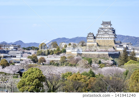 [World Cultural Heritage Site] Distant view of Himeji Castle in spring 141941240