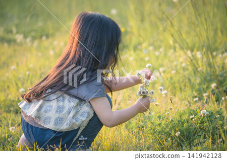 一個女孩在逆光的草地上採摘白三葉草 | 童年時與夏日野花相伴的自然景象。 一個女孩在逆光的草地上採摘白三葉草 | 童年時與夏日野花相伴的自然景象。 141942128
