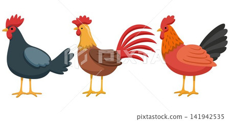 Colorful Rooster Collection Illustration Colorful Rooster Collection Illustration 141942535