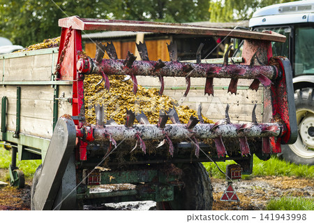 Agricultural manure spreader loaded with grape pomace illustrats sustainable farming in a rural wine region. Agricultural manure spreader loaded with grape pomace illustrats sustainable farming in a rural wine region. 141943998