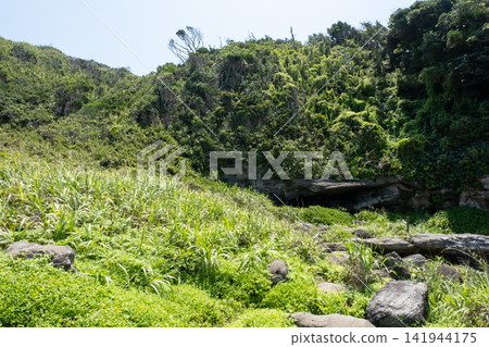 神奈川縣城島海灘的草地景觀。 神奈川縣城島海灘的草地景觀。 141944175