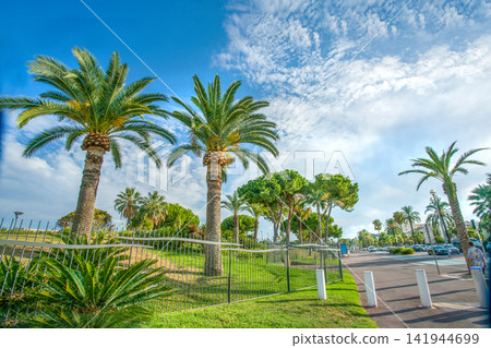 Amazing rIGHT SIDE of Prom. des Anglais gardening Amazing rIGHT SIDE of Prom. des Anglais gardening 141944699