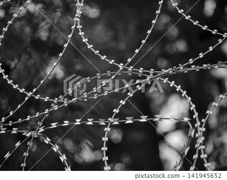 barbed wire used in war zone barbed wire used in war zone 141945652