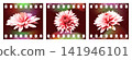 Flower film retro analog floral frame with grain glow, stylized blossom composition inspired by vintage photo aesthetics on a vibrant background. 141946101