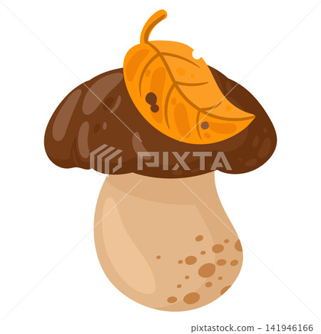 Porcini mushroom with leaf. Single edible porcini mushroom with autumn leaf on cap flat vector illustration. Forest food isolated on white background 141946166