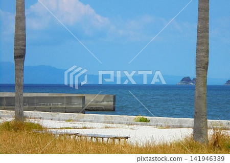 樹木和海岸 141946389