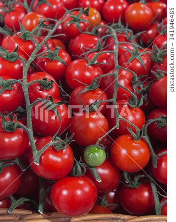 Fresh Cherry Tomatoes on the Vine at Produce Market Fresh Cherry Tomatoes on the Vine at Produce Market 141946485