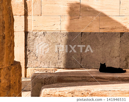 Black Cat Resting in Sunlight Against Stone Wall Black Cat Resting in Sunlight Against Stone Wall 141946531