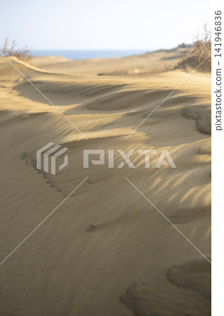 Wind pattern (Tottori dune) Wind pattern (Tottori dune) 141946836