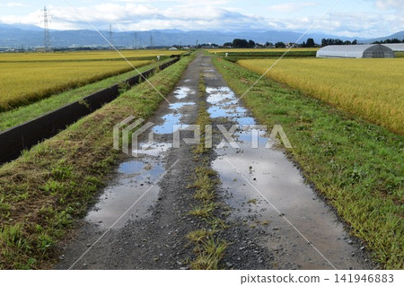 Farm road and rural scenery Shonai, Yamagata Prefecture Farm road and rural scenery Shonai, Yamagata Prefecture 141946883