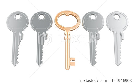 Golden skeleton key among silver keys, unique solution and special access concept. 3D rendering Golden skeleton key among silver keys, unique solution and special access concept. 3D rendering 141946908