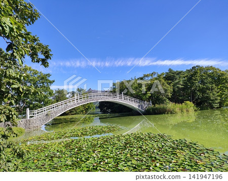 北海道大沼公園湖上的一座橋。 北海道大沼公園湖上的一座橋。 141947196