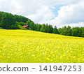 Furano Campana Rokkatei, Mustard Field Furano Campana Rokkatei, Mustard Field 141947253