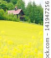 Furano Campana Rokkatei, Mustard Field Furano Campana Rokkatei, Mustard Field 141947256
