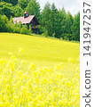 Furano Campana Rokkatei, Mustard Field Furano Campana Rokkatei, Mustard Field 141947257